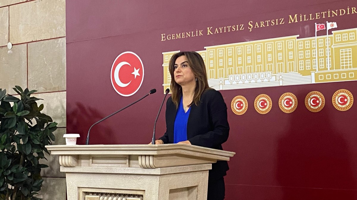 DEM Parti’den kayyum tepkisi: TBMM çalışmalarına katılmayacağız